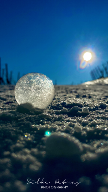 Foto: Silke Petras