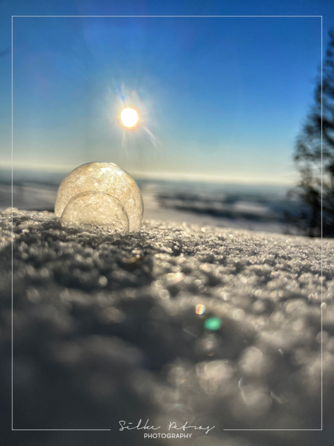 Foto: Silke Petras