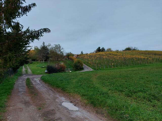 Nun geht es bergauf auf die Weinberghöhen!