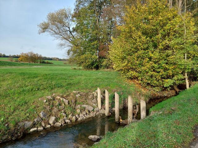 Vor dem Stauwerk der Schozach werden große Äste abgefangen.