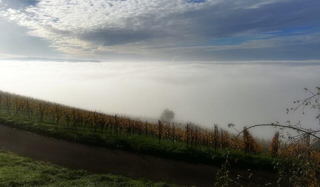 Heilbronn ist nur zu erahnen, verlässlich aber die "Wolke Neckarwestheim" | Foto: Moni Bordt