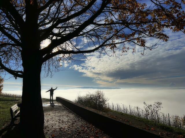 Nebeltaucher | Foto: Moni Bordt