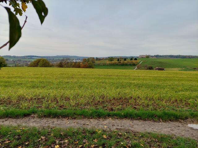 Und nochmals ein Blick auf Burg Stettenfels- schon weit entfernt.