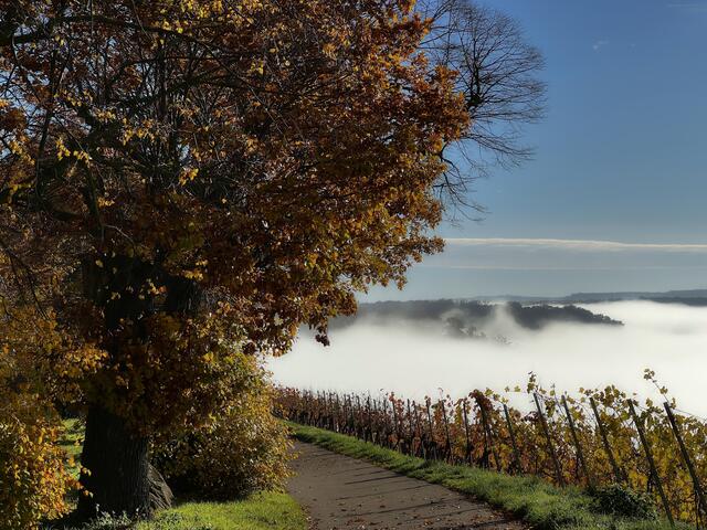  Nebelwolken wabern.... | Foto: Moni Bordt