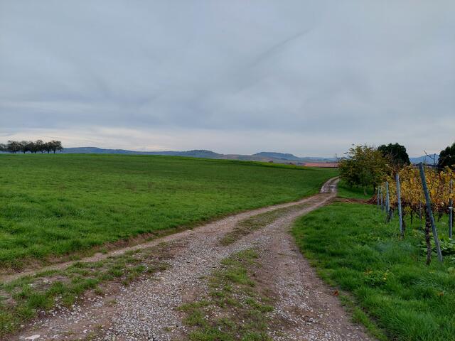 Ein Blick von der Höhe auf die Ausläufer der Löwensteiner Berge.
