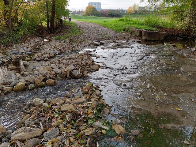 Wer traut sich durch die Furt ?