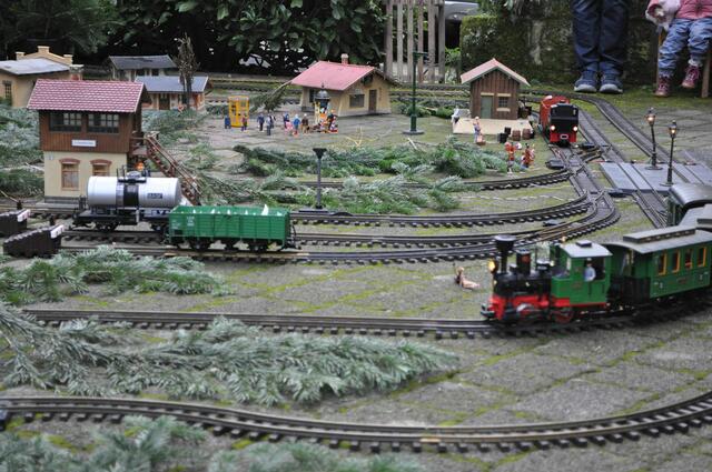 Für die Kinder wurde eine Eisenbahnanlage aufgebaut. | Foto: Daniela Somers