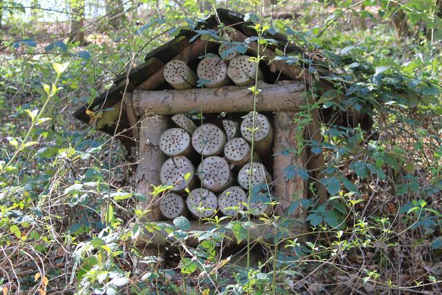 Insektenhotel