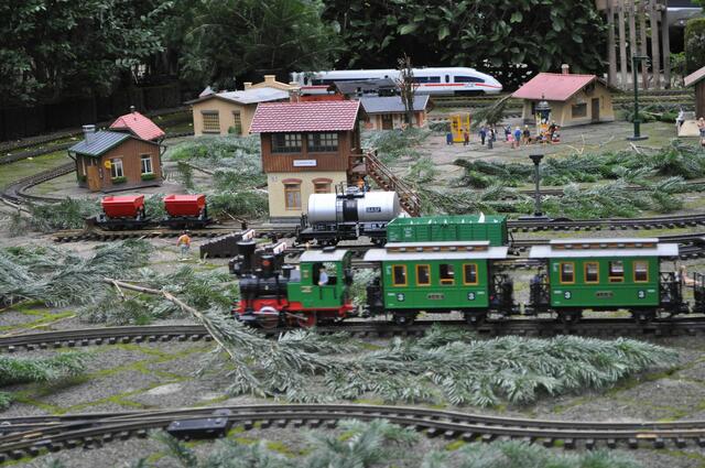 Für die Kinder wurde eine Eisenbahnanlage aufgebaut. | Foto: Daniela Somers