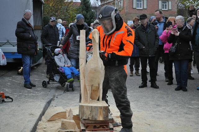 Vorführung. Kunst mit der Kettensäge | Foto: Daniela Somers