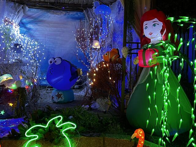 Dorie und Nemo sind auch dabei | Foto: Moni Bordt
