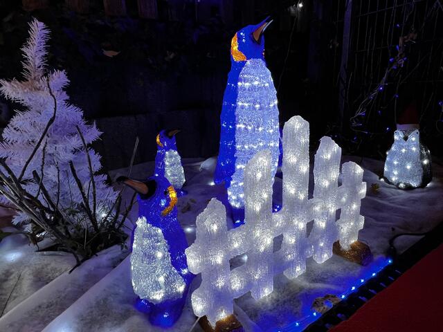 In der Eiswelt | Foto: Moni Bordt