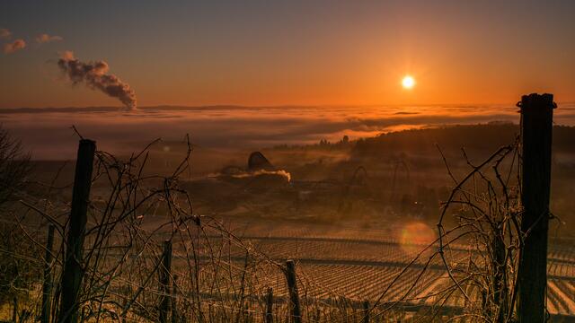 Bild des Monats Unterland/Kraichgau im Februar 2022: "Sonnenaufgang am Michaelsberg" von Heimatreporterin Tanja Blind. | Foto: Tanja Blind