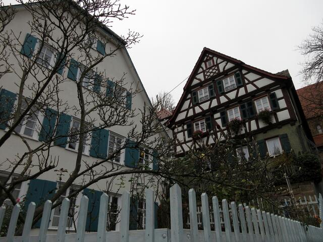 Am 7.12. wurde zum Weihnachtsmarkt nach Weinsberg gewandert. Die Magnolien treiben aus um am Haus blühen noch die Geranien.