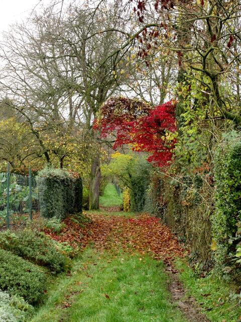 Auch in den Stadtteilen finden die Wanderer immer wieder schöne und wenig begangene Wege, Kurzweil und Abwechslung