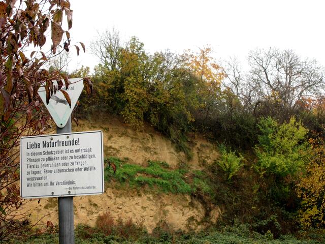 Die Löswand im Ziegeleipark ist Schutzgebiet.
