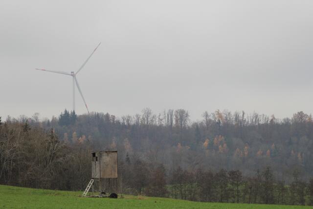 tolle Aussicht