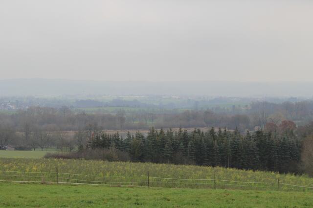 Starkholzbacher See im Blick