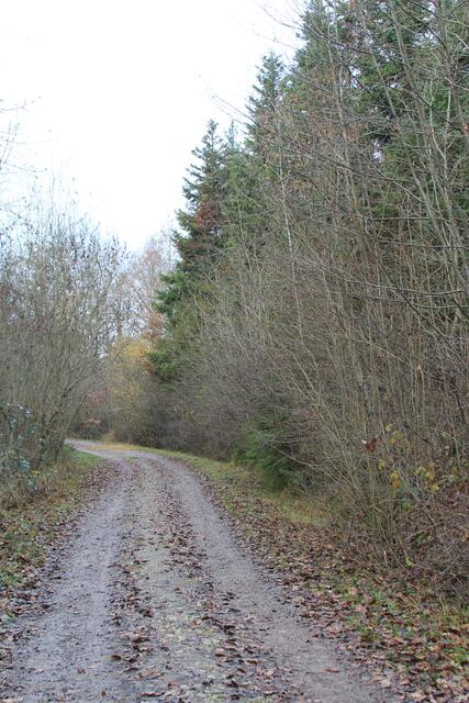 toller Weg