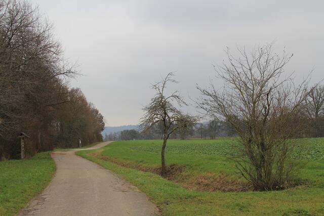 bald am Ziel
