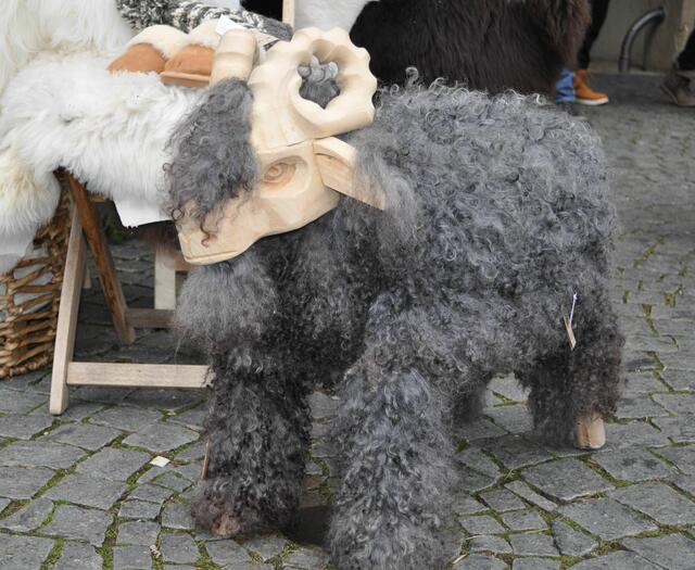 Ist der nicht niedlich? | Foto: Daniela Somers