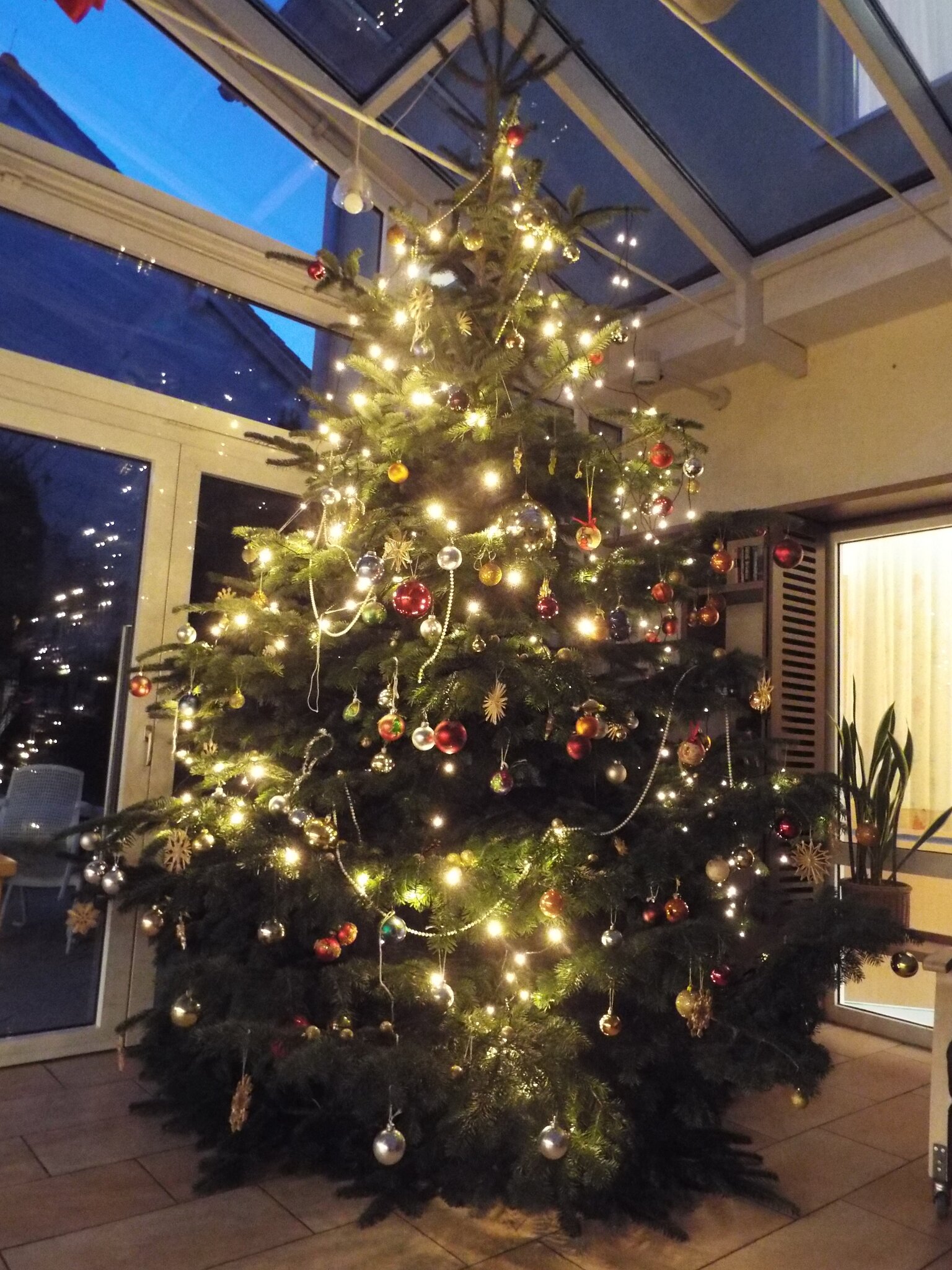 Der schönste Weihnachtsbaum aller Zeiten