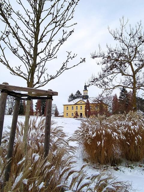 Blick zwischen den Gräsern auf das alte Salinengebäude