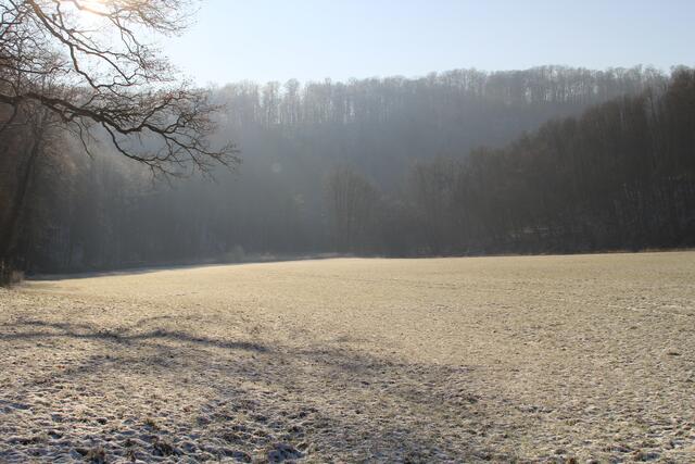 unten im Tal