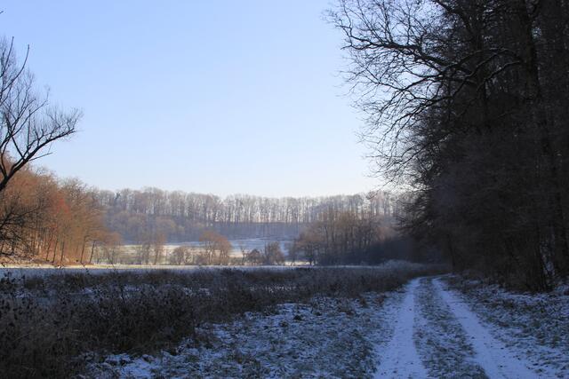 schöne Aussicht