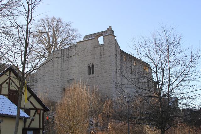 Burgruine Leofels