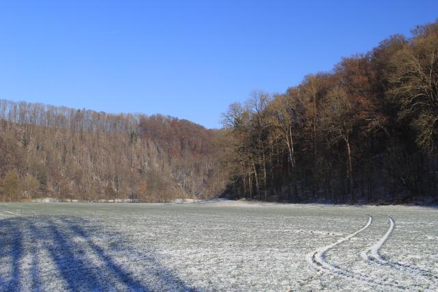 unten im Tal