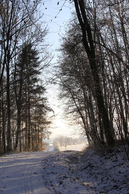 da hinten sind wir links runter