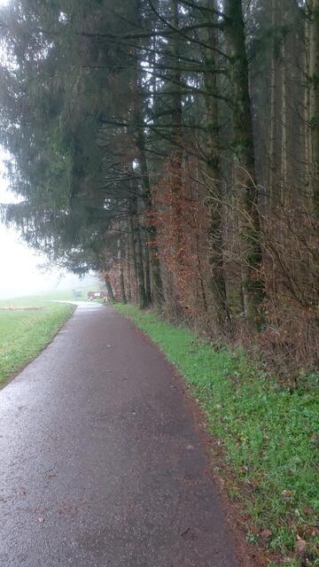 kleiner Rückblick