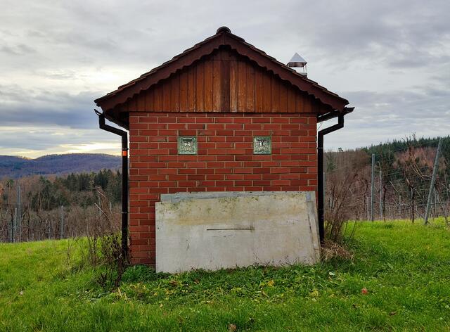 Zauberwald: die Weinberghäuschen haben Gesichter und beobachten die Wandergesellschaft ganz genau. | Foto: Aurelia Kling