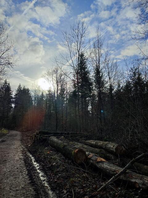 Den Sackweg hinauf | Foto: Aurelia Kling