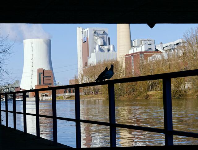 Neckar-Radweg, unter der Neckartal-Strasse
