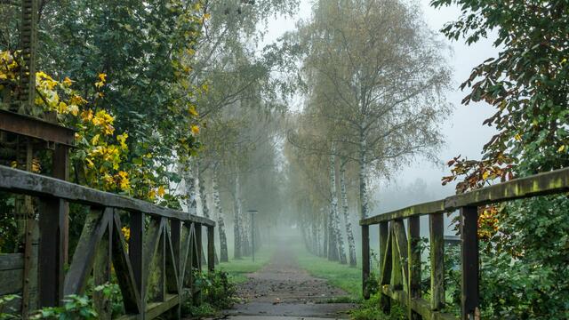 Brücke am Weissenhof/Weinsberg