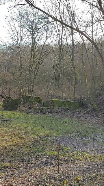 oben angekommen kurz vor Gottwollshausen | Foto: Ralf Röser