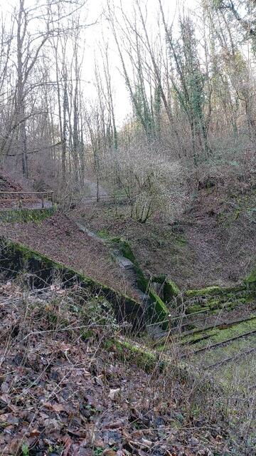 einfach toll | Foto: Ralf Röser