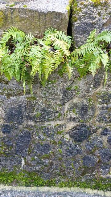 schönes am Wegesrand | Foto: Ralf Röser