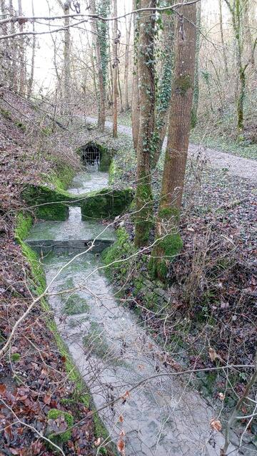 traumhaft | Foto: Ralf Röser