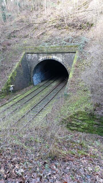 leider kam kein Zug | Foto: Ralf Röser