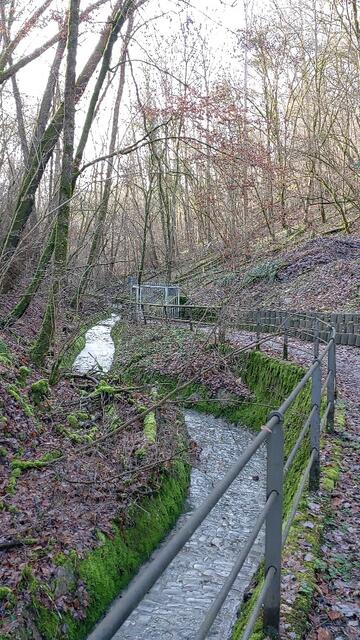 Abstecher nach Gottwollshausen- Wildnis pur mitten in der Stadt | Foto: Ralf Röser