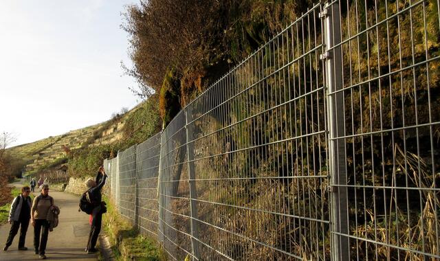 Das Naturdenkmal Tuff-Felsen ist besonders im gefrorenen Zustand sehenswert. Mal sehen, ob es im Januar oder Februar noch richtig kalt wird.