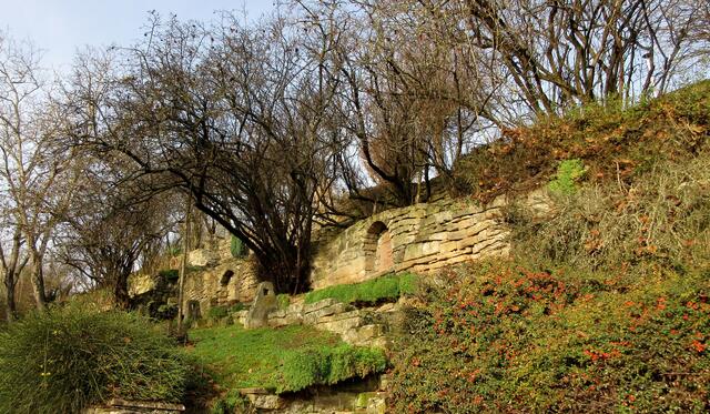 Privates Gelände, erbaut von Rolf und Lilli Neffle in Kirchheim. Hier wurde der Gruppe wieder einmal klar, "wo du nicht zu Fuß warst, bist du nicht wirklich gewesen" (Goethe). Wie oft ist man schon mit dem Auto durch Kirchheim gefahren, doch diese angelegten Hänge beachtet man vom Fahrzeug aus nicht.