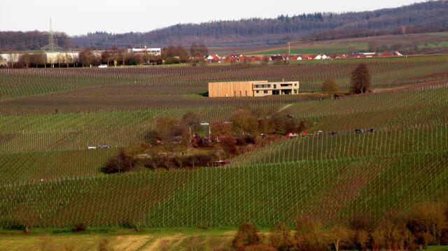 Auch der Lauffener Römerhof und der dortige Weinausschank waren an diesem warmen Silvestertag gut besucht. Er wird regelmäßig vom Schwäbischen Albverein Lauffen bewirtet.