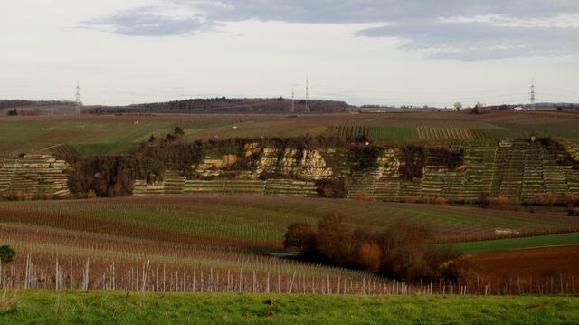 Über die Höhe hat man dann noch einen wunderbaren Ausblick hinüber zum Krappenfelsen, bevor man zum Forchenwald hinunter kommt