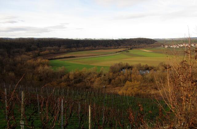 Ein toller Ausblick auf die Neckarschleife bei Lauffen von oben. 