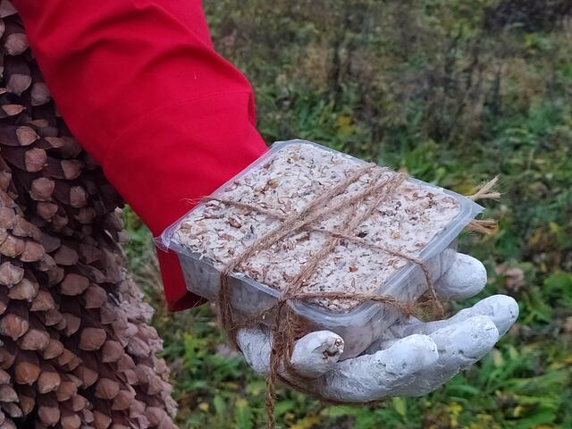 Ein Geschenk für die Wildvögel