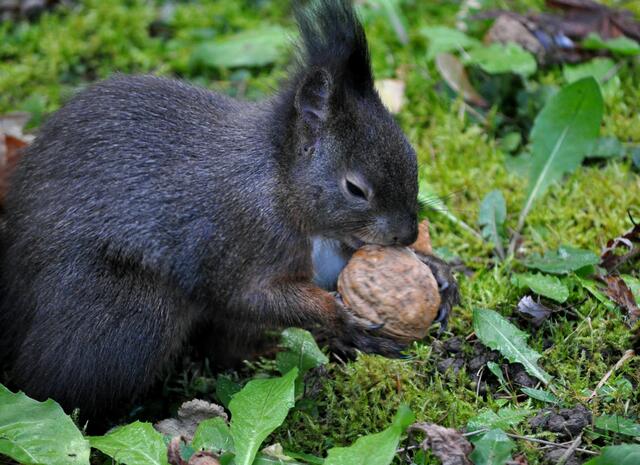 Die riecht so lecker. | Foto: Daniela Somers